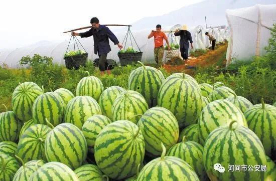 臭臭先生的拘留所 