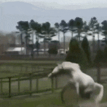 木筏生存沙漠游民 