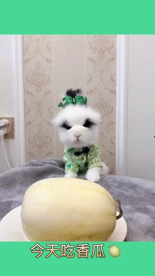 傻瓜记账