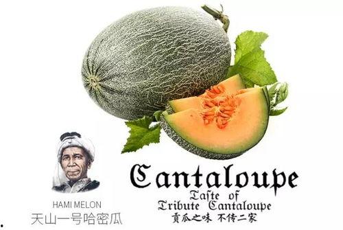 壁纸推荐大全