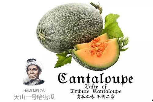 盛世芳华